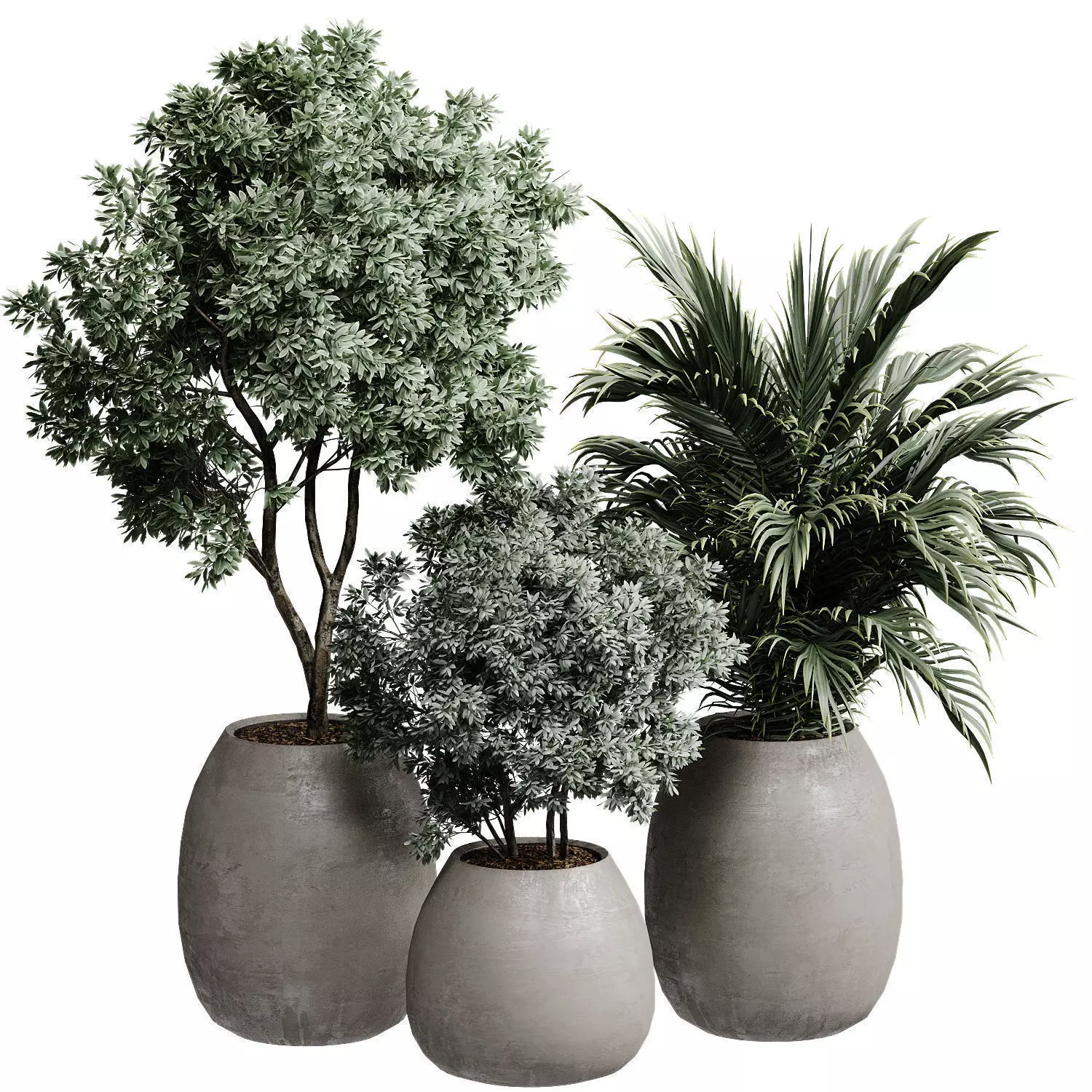 Outdoor Plant 37 3D model