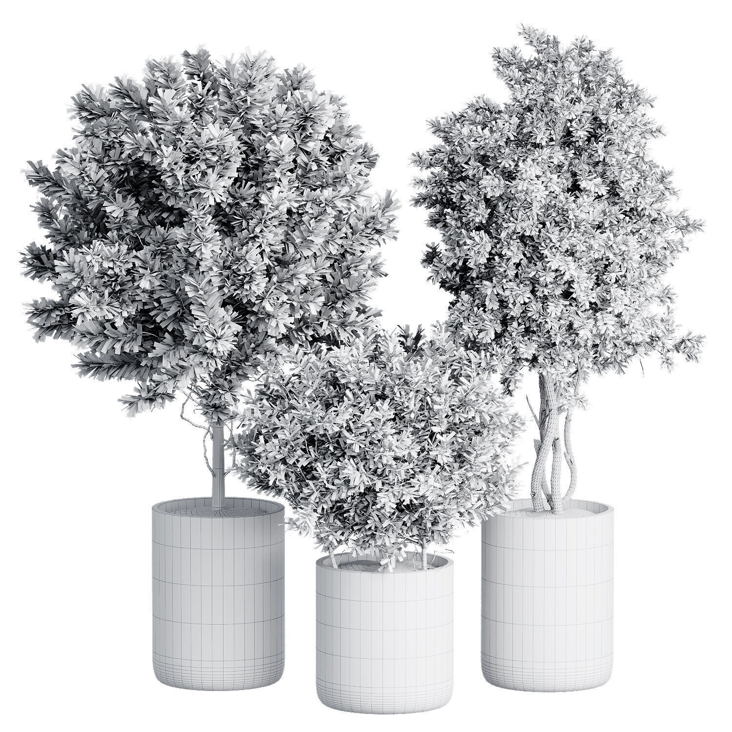 Indoor Plant 27 3D model_4