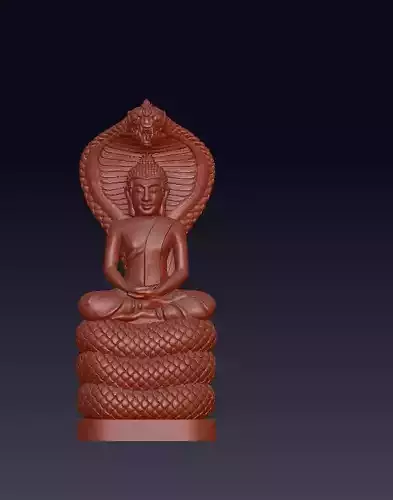 buddha god with one head dragone 