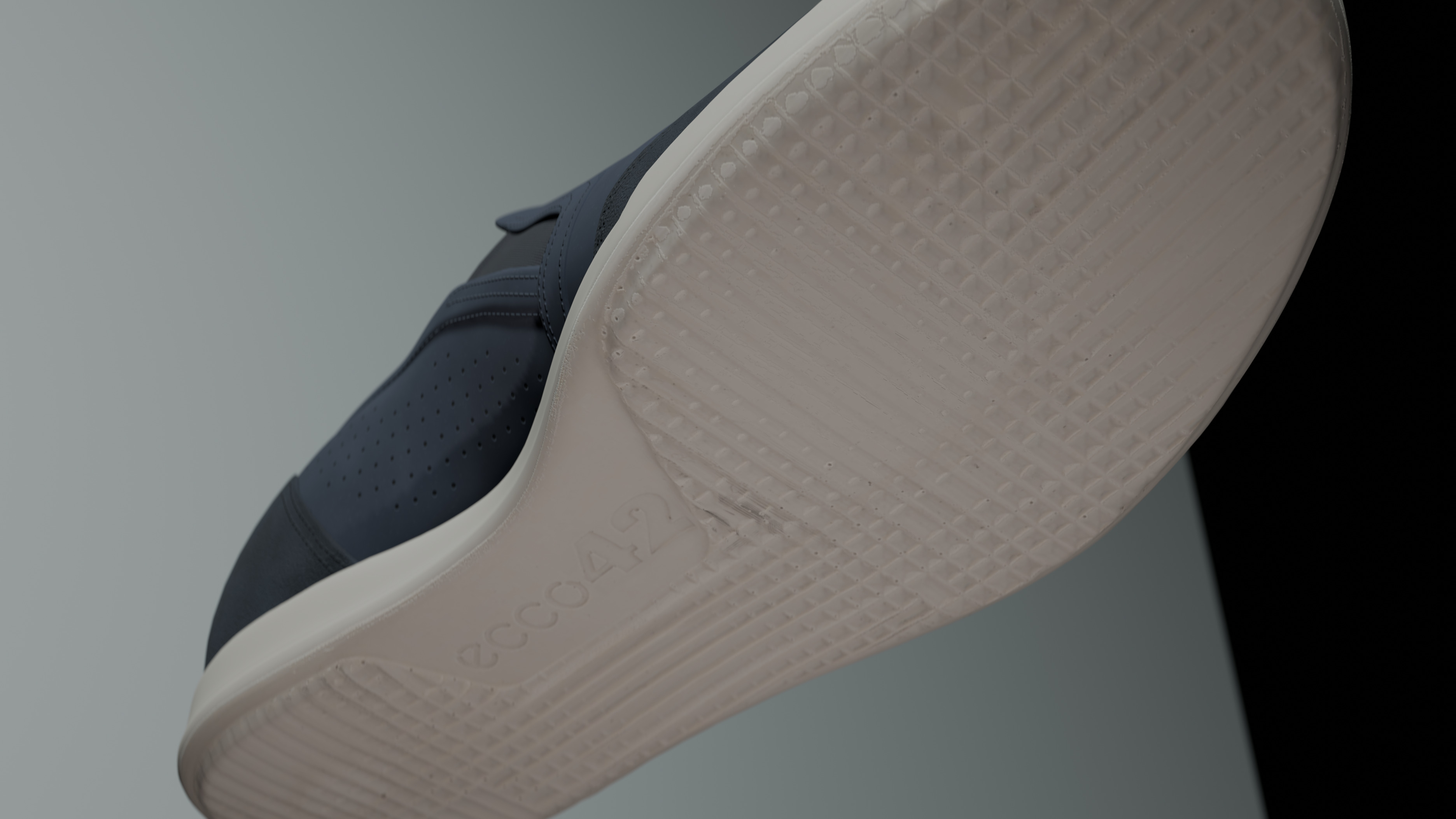 Eccoshoe006 3D model_2