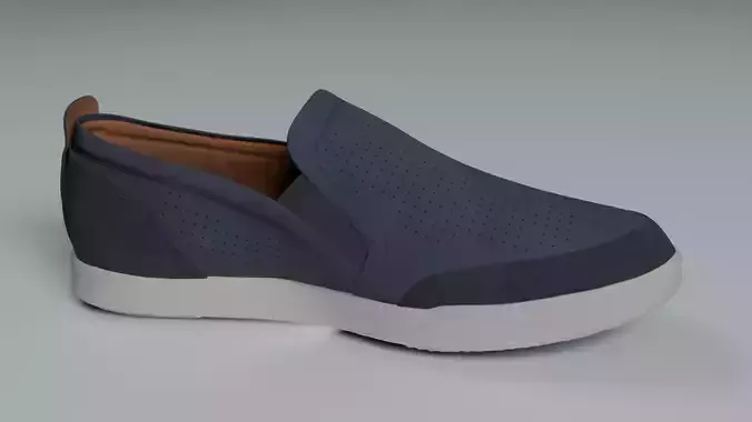 Eccoshoe006