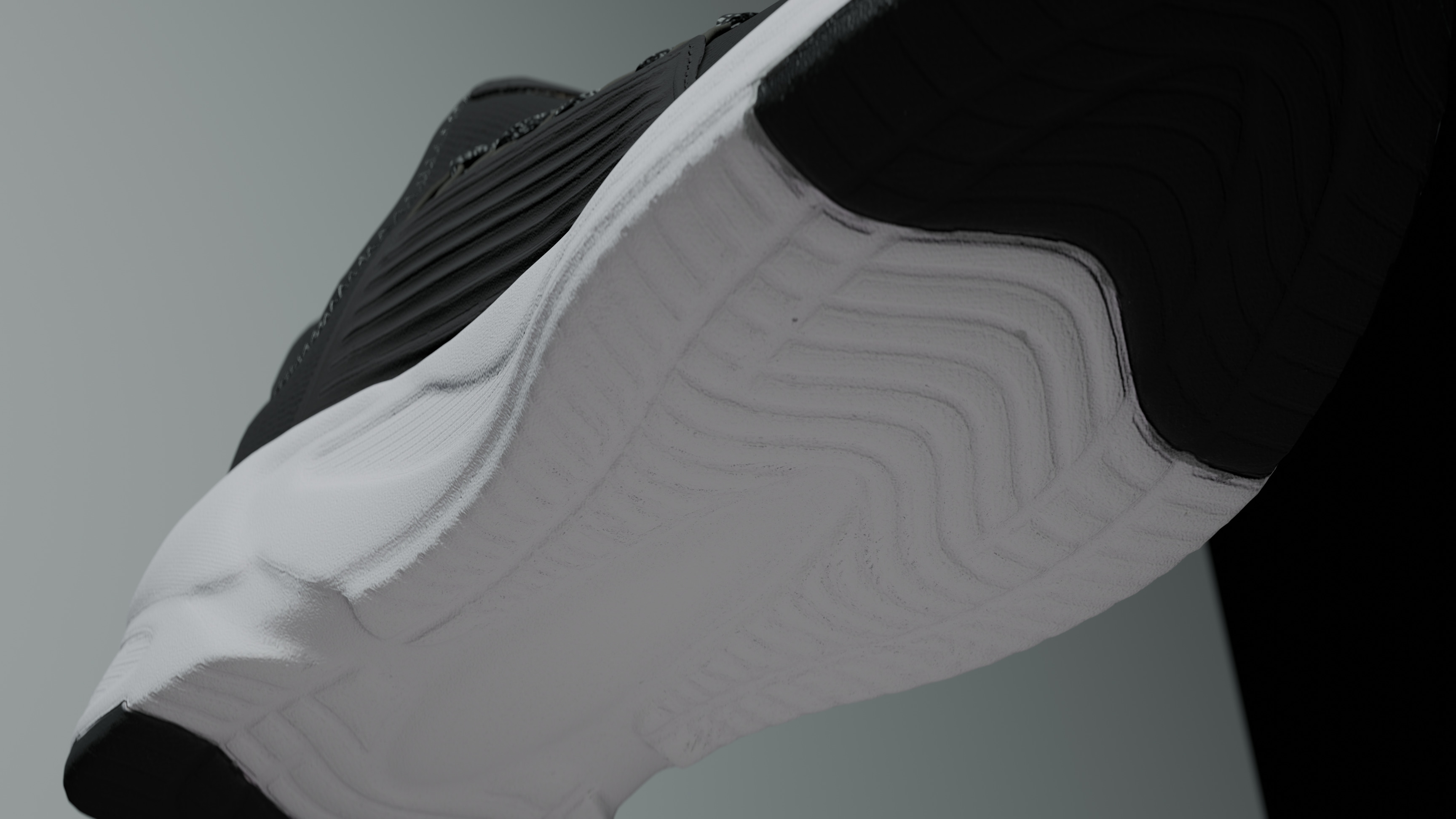 Pumashoe007 3D model_2