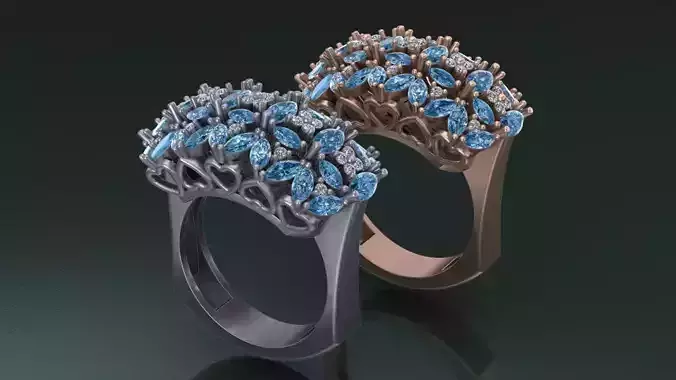 jewelry ring2