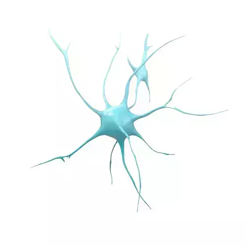 Neurons v1 001