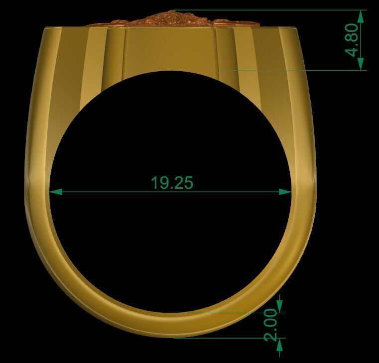 Viking and Axes Ring 3D print model_9