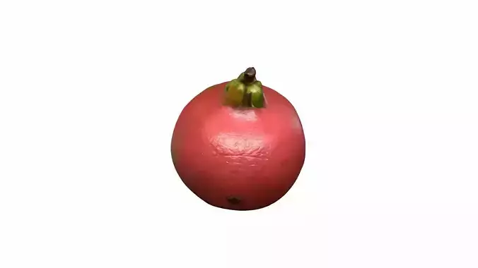    Green Pink Fleshed Guava Fruit Collection 3d Render