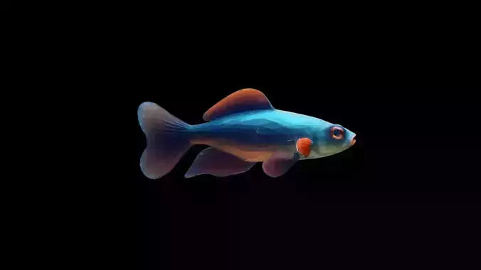 Guppy Colorful Rainbow Tropical Aquarium Fish 3d Render