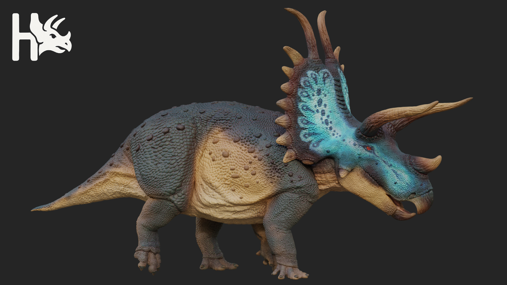 Triceratops Low-poly 3D model_6