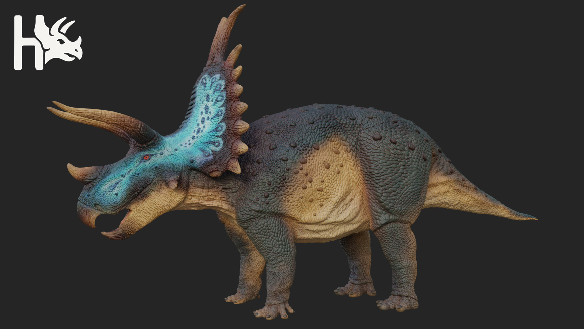 Triceratops Low-poly 3D model_2