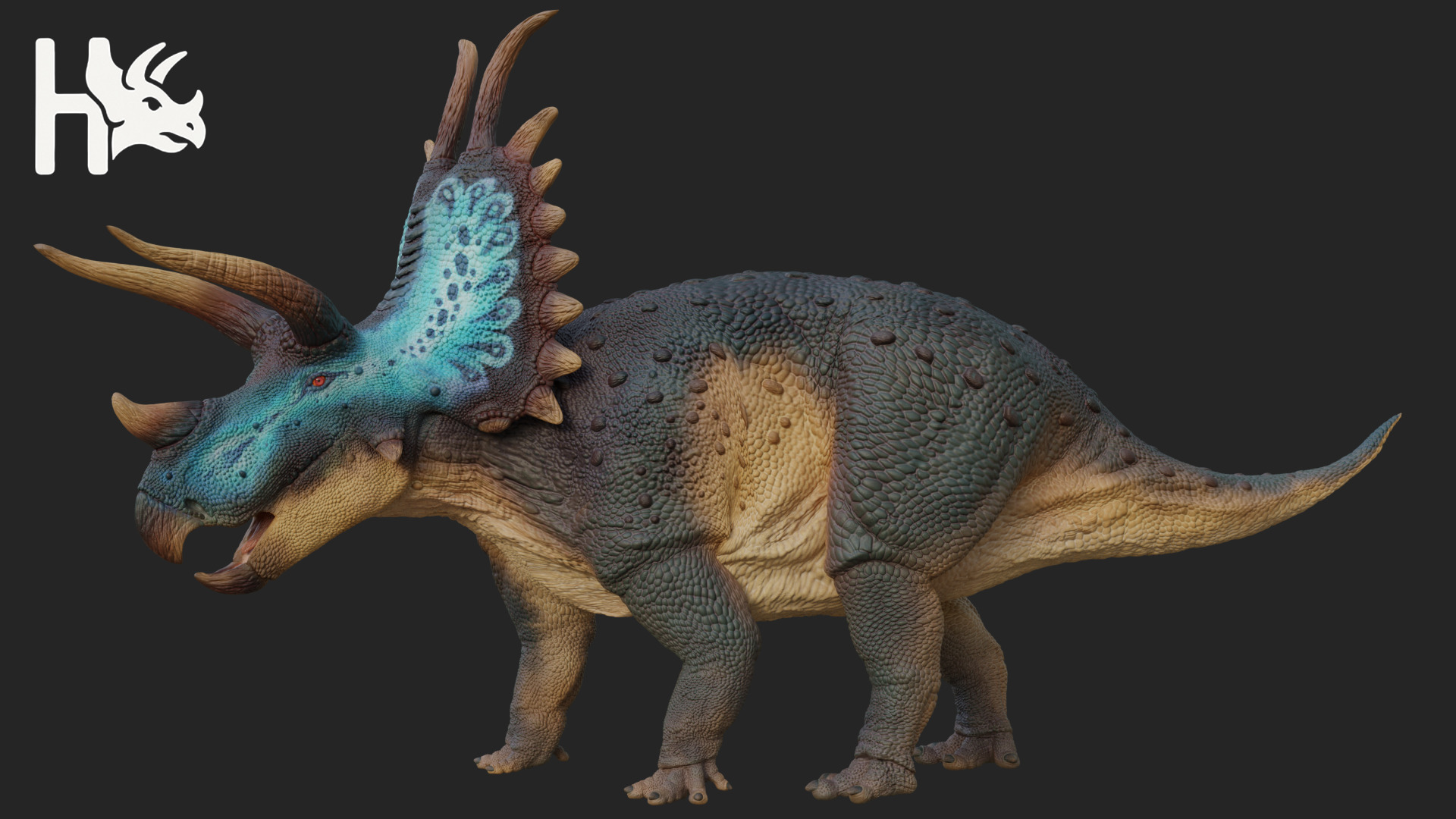 Triceratops Low-poly 3D model_1