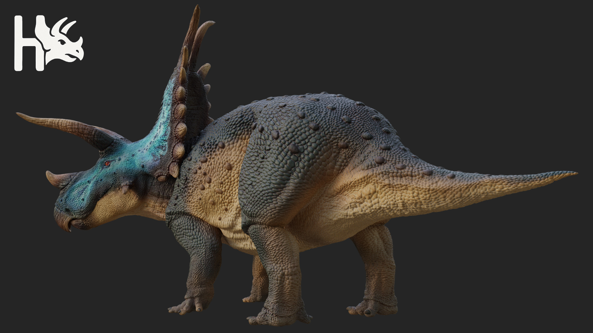 Triceratops Low-poly 3D model_7