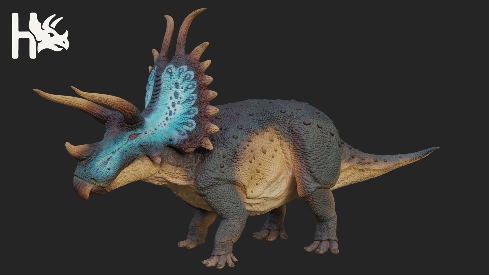 Triceratops Low-poly 3D model_4