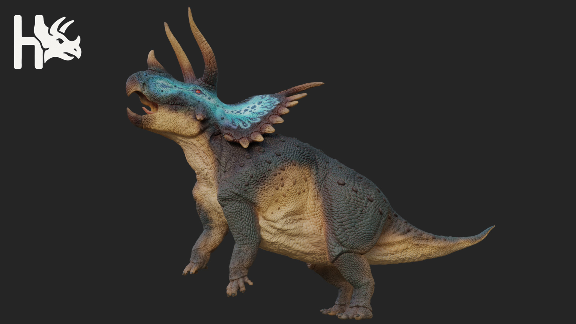 Triceratops Low-poly 3D model_5