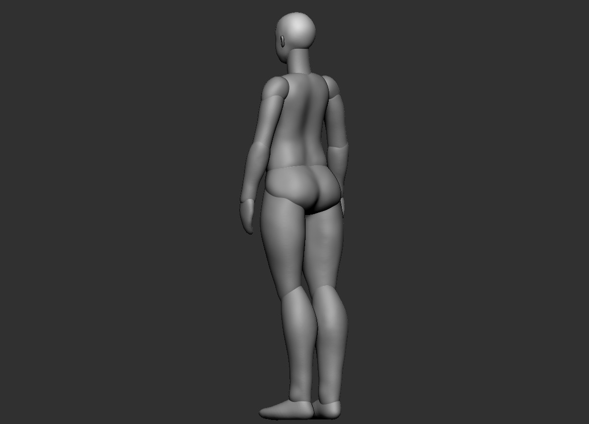 MIDDLE-AGED FEMALE BODY POLYGROUP 3D print model_5