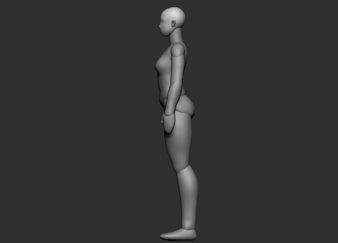 MIDDLE-AGED FEMALE BODY POLYGROUP 3D print model_3