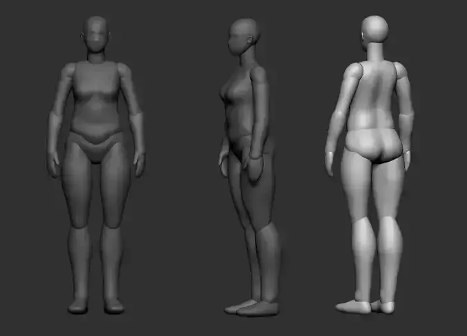 MIDDLE-AGED FEMALE BODY POLYGROUP