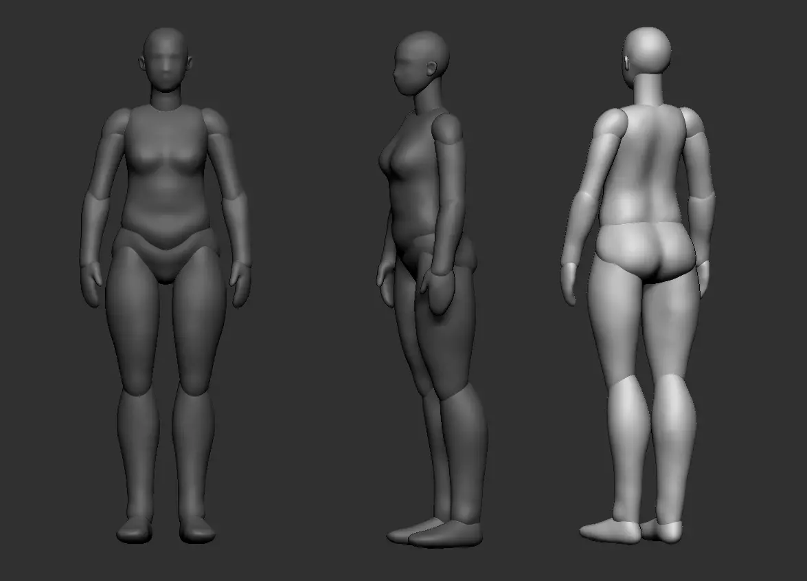 MIDDLE-AGED FEMALE BODY POLYGROUP 3D print model_0