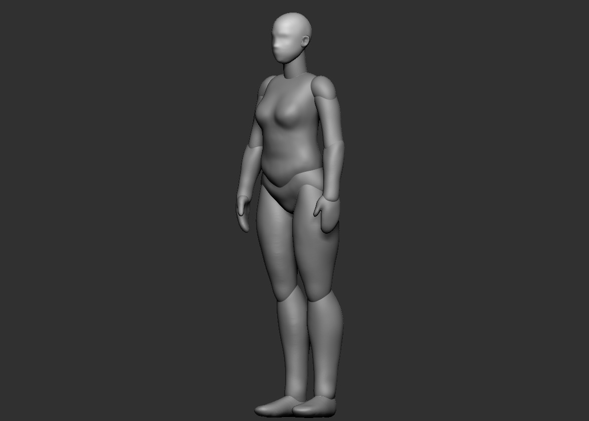 MIDDLE-AGED FEMALE BODY POLYGROUP 3D print model_6