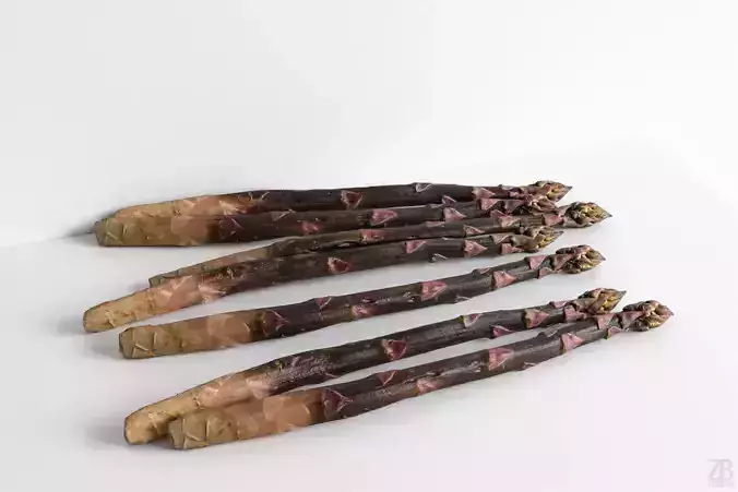 Asparagus 3D model