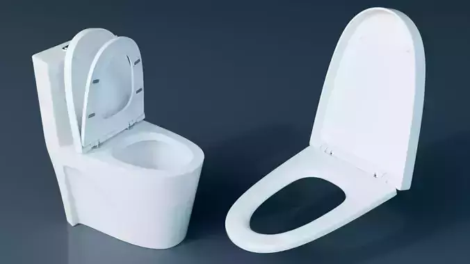 One-Piece Toilet