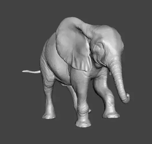 ELEPHANT CALF REALISTIC FIGURE MODEL ANIMAL CREATURE WILDLIFE