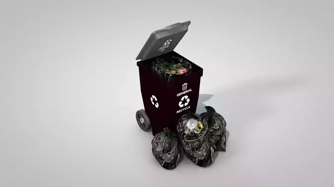 General Waste Bin and Bags