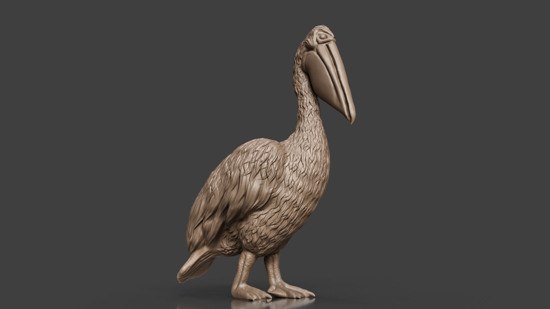Bring Nature Home Realistic Pelican Toy STL 3D print model_5