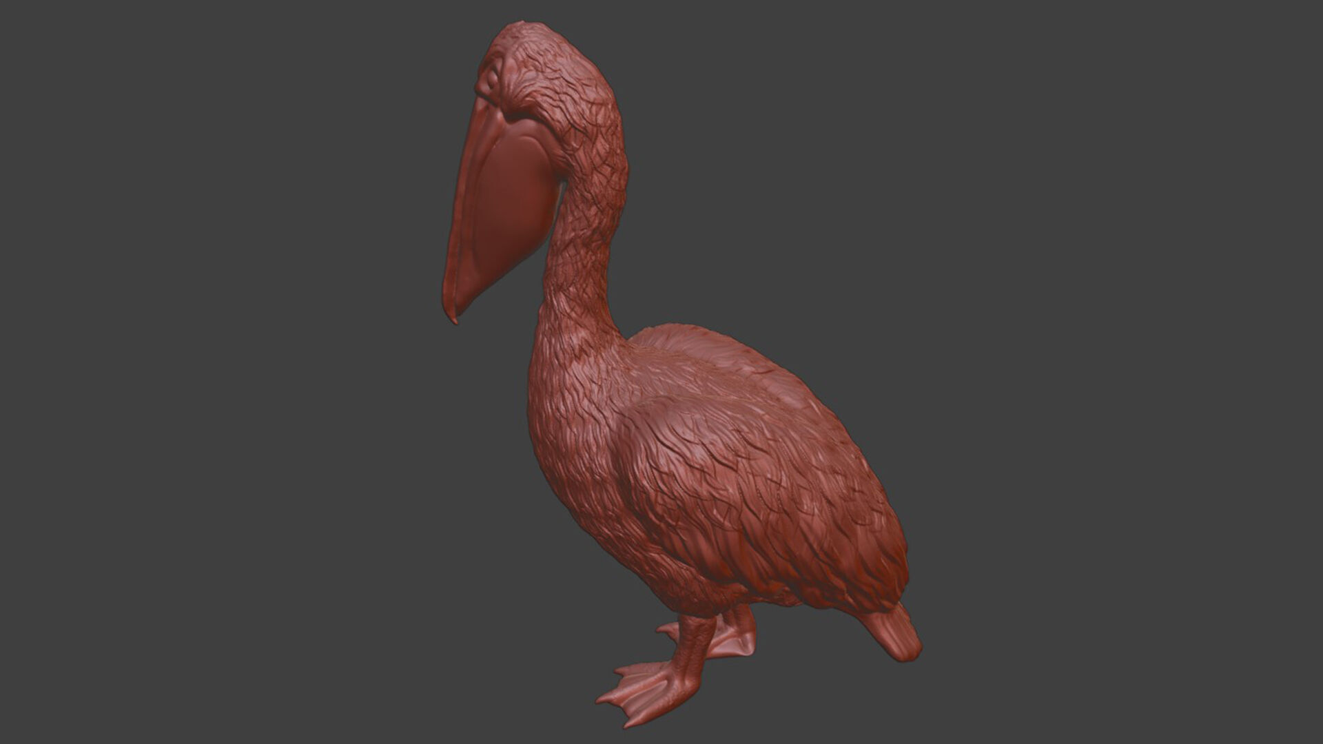 Bring Nature Home Realistic Pelican Toy STL 3D print model_8