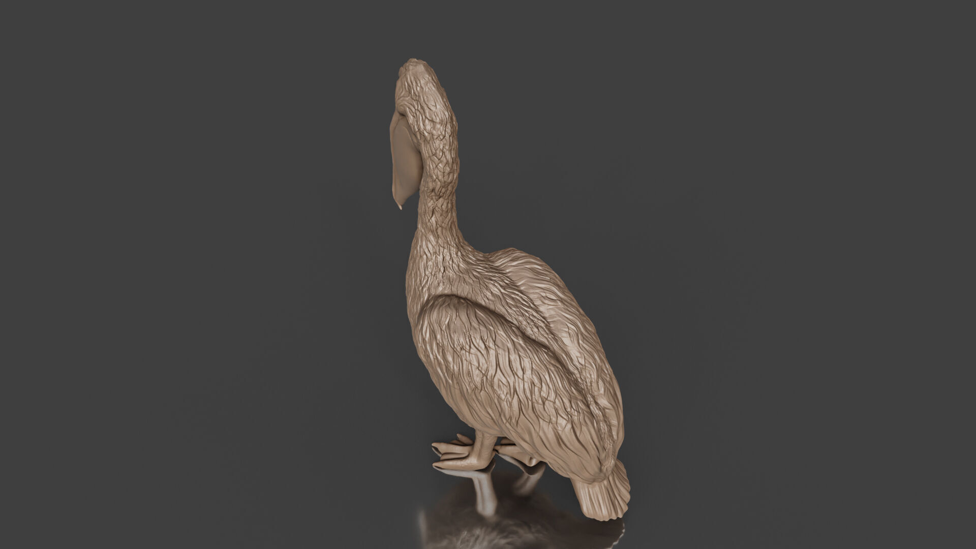 Bring Nature Home Realistic Pelican Toy STL 3D print model_3
