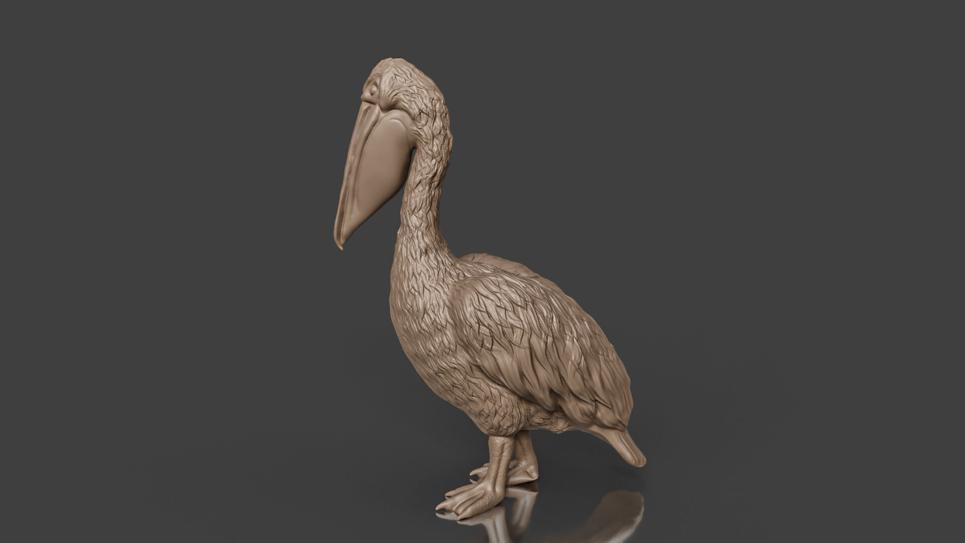 Bring Nature Home Realistic Pelican Toy STL 3D print model_2