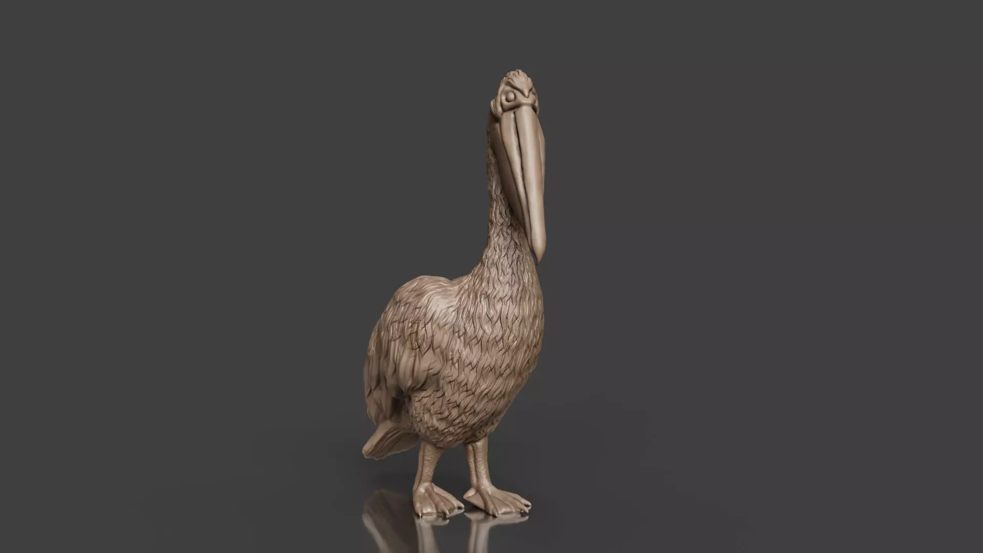 Bring Nature Home Realistic Pelican Toy STL 3D print model_0