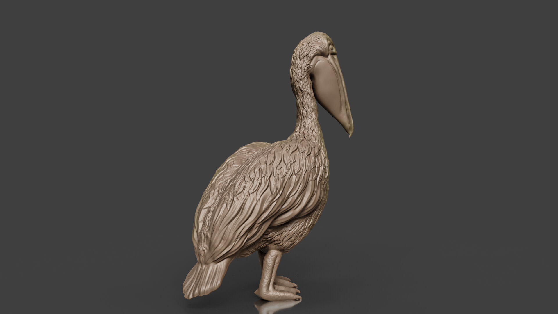 Bring Nature Home Realistic Pelican Toy STL 3D print model_4