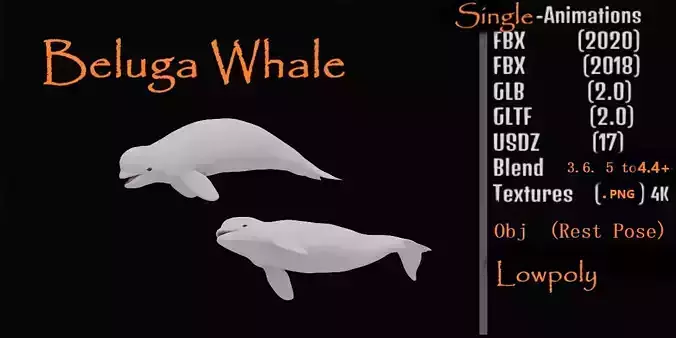 Beluga Whale Low-poly 3D model