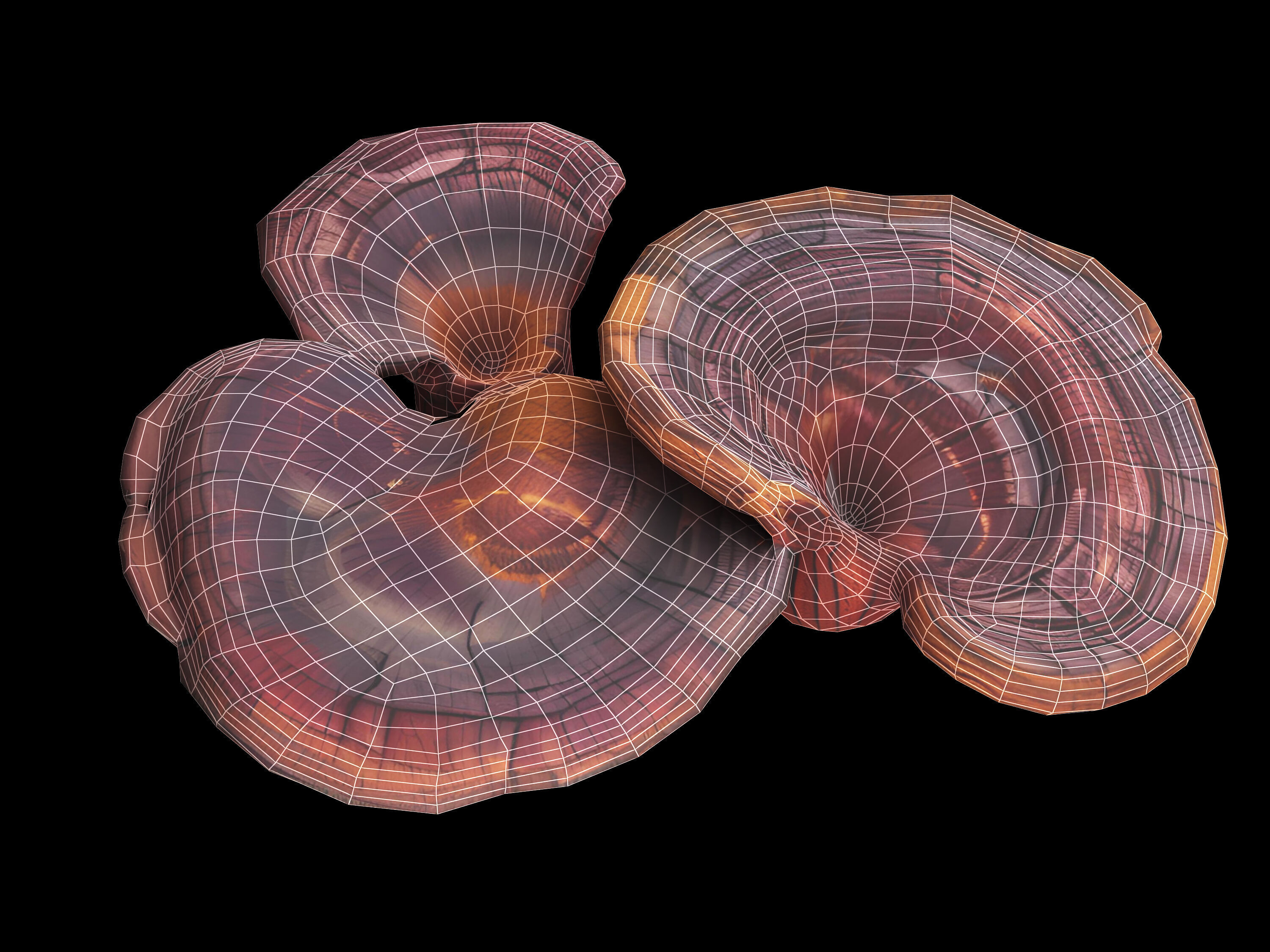 Ganoderma Low-poly 3D model_1