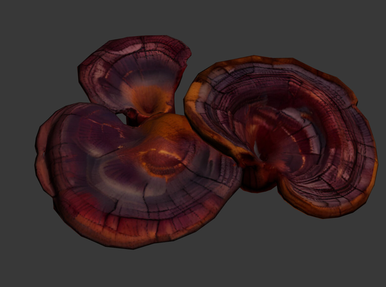 Ganoderma Low-poly 3D model_2