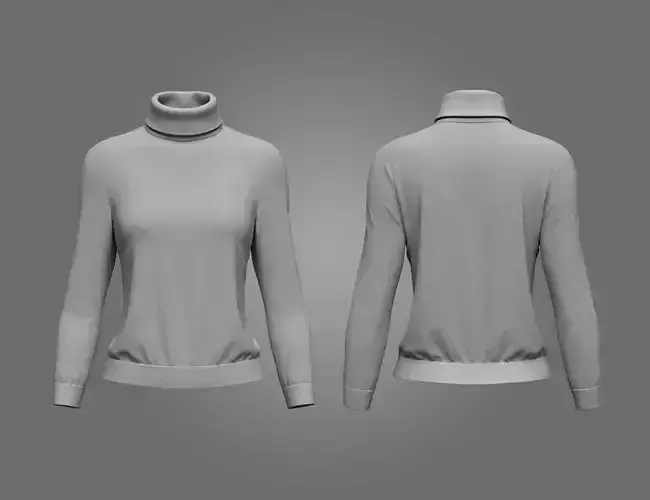 Female Turtleneck Sweater