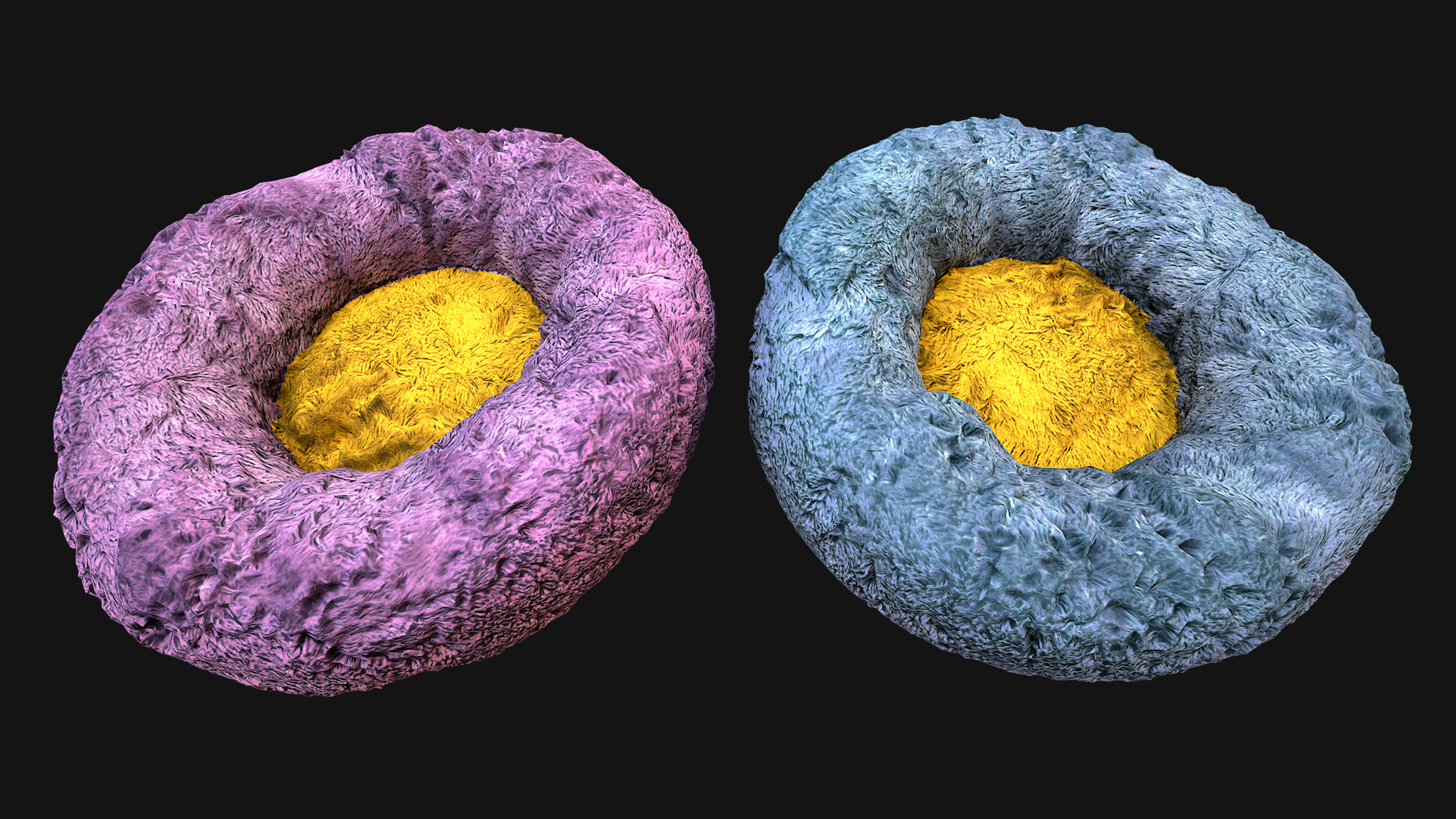 Bed for Animals Dog Cat Rodent Hamster Rat Pet Set Low-poly 3D model_33