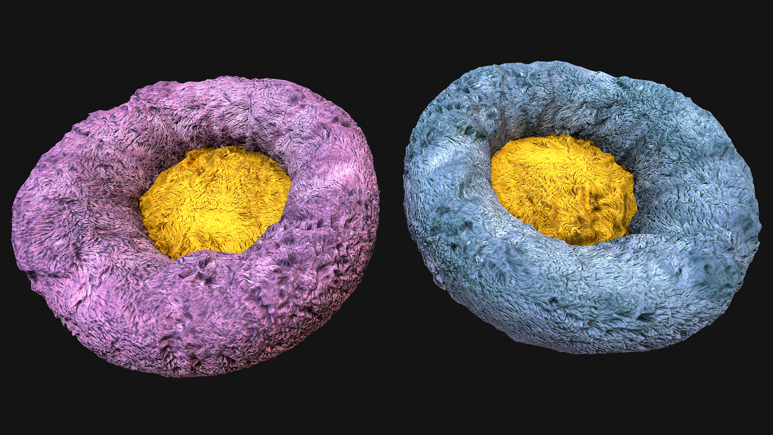 Bed for Animals Dog Cat Rodent Hamster Rat Pet Set Low-poly 3D model_32