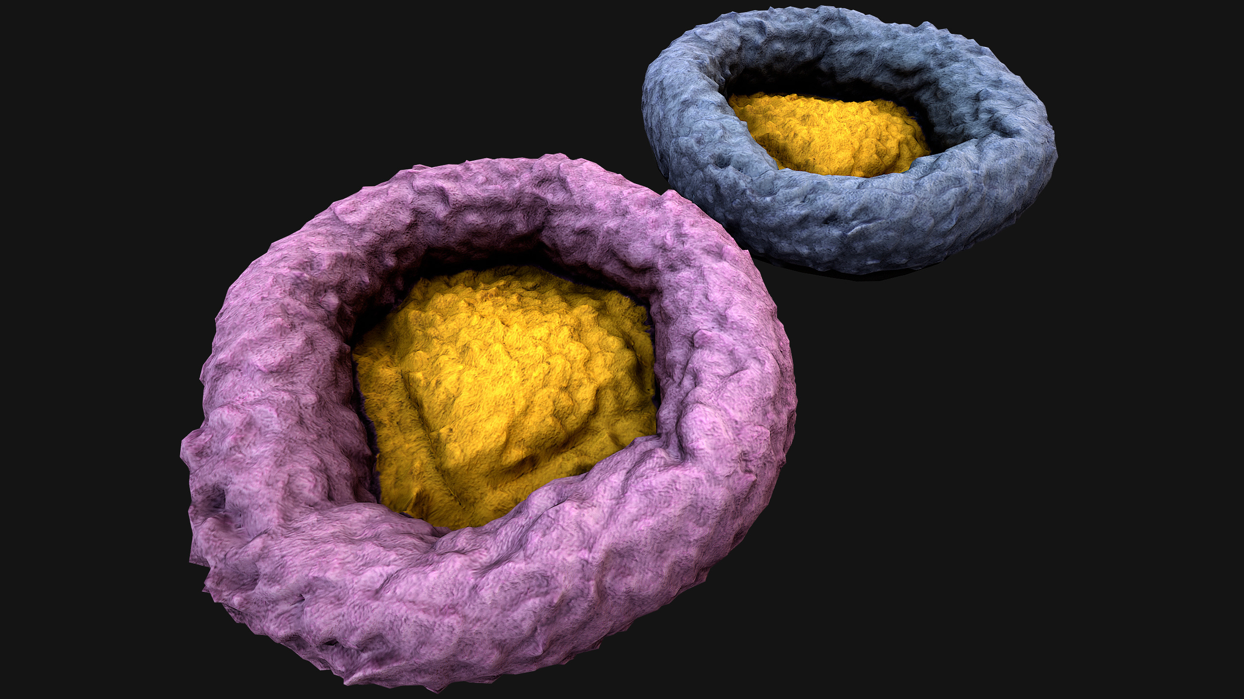 Bed for Animals Dog Cat Rodent Hamster Rat Pet Set Low-poly 3D model_34