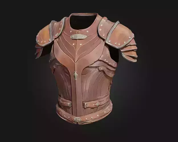 Leather Warrior Armor