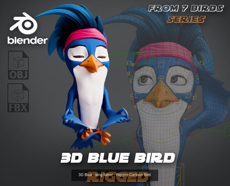 7 Birds Collection - Rigged Cartoon Characters - Discounted _7