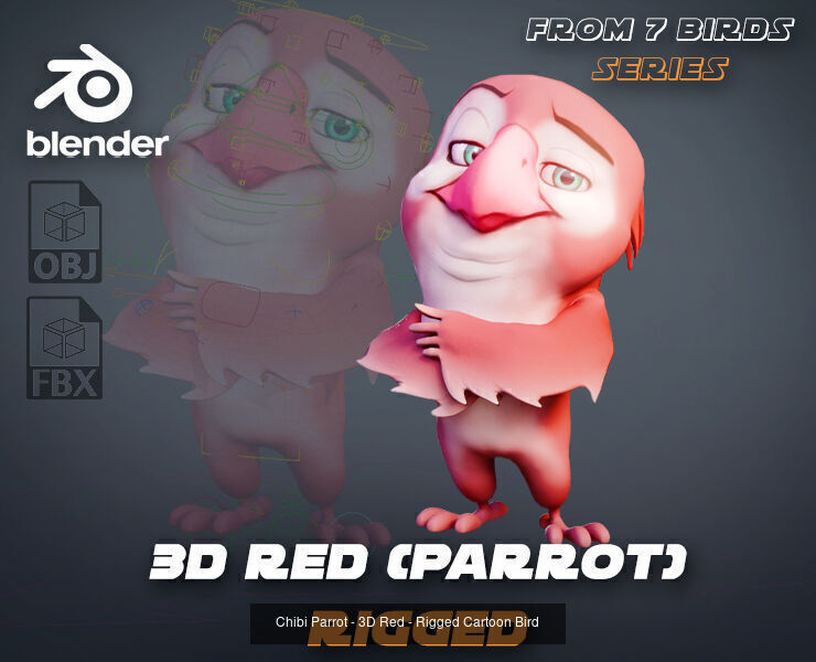 7 Birds Collection - Rigged Cartoon Characters - Discounted _4