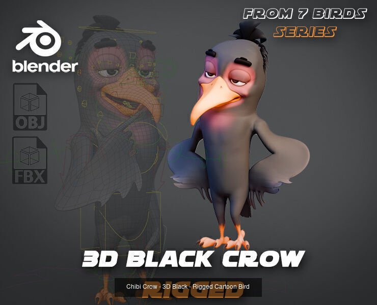 7 Birds Collection - Rigged Cartoon Characters - Discounted _8
