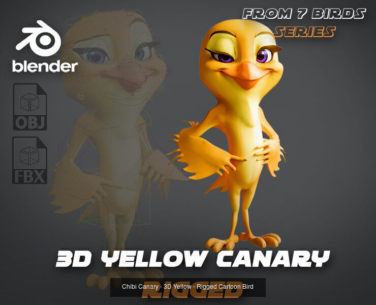 7 Birds Collection - Rigged Cartoon Characters - Discounted _10