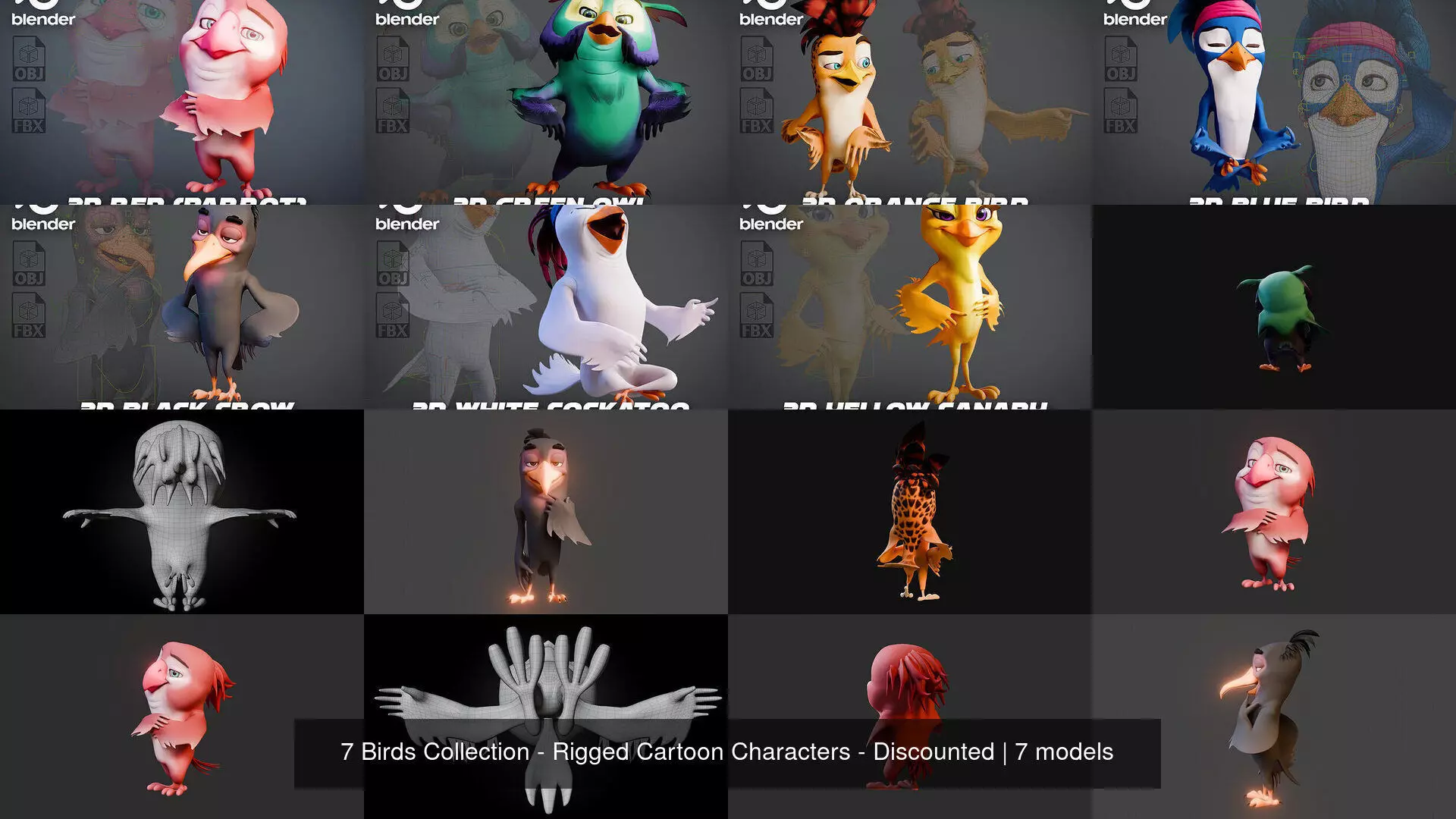 7 Birds Collection - Rigged Cartoon Characters - Discounted _3