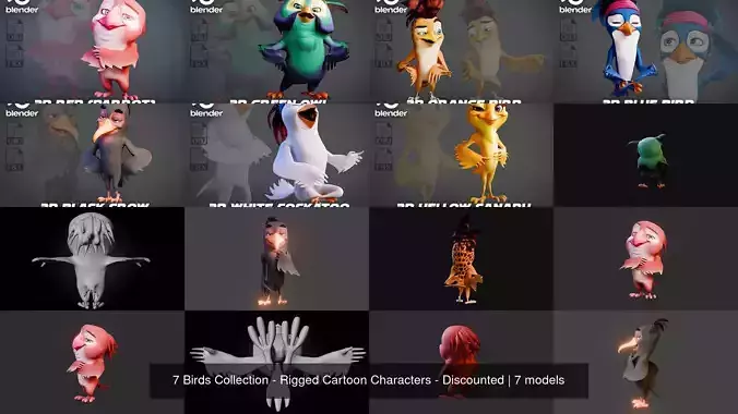7 Birds Collection - Rigged Cartoon Characters - Discounted