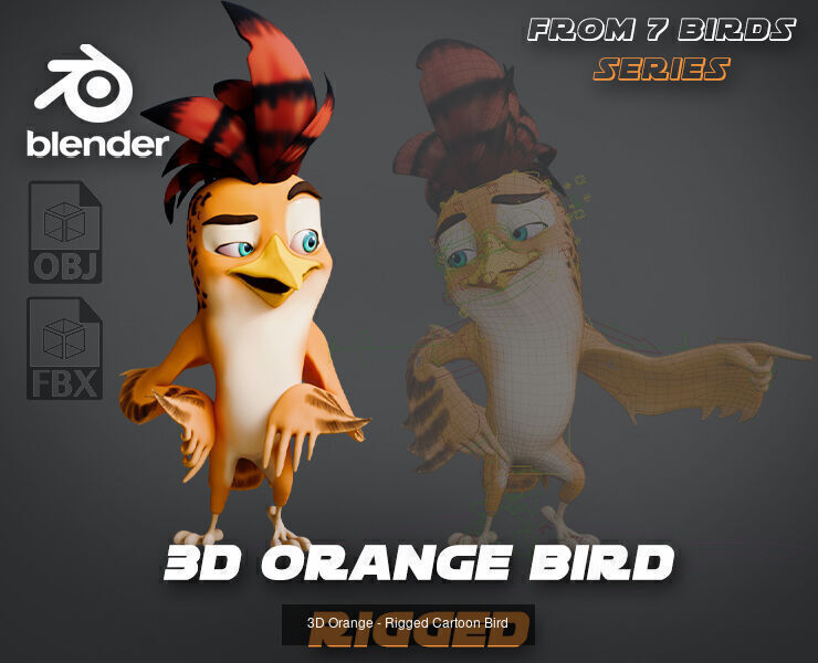 7 Birds Collection - Rigged Cartoon Characters - Discounted _6
