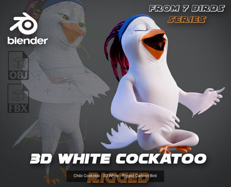 7 Birds Collection - Rigged Cartoon Characters - Discounted _9