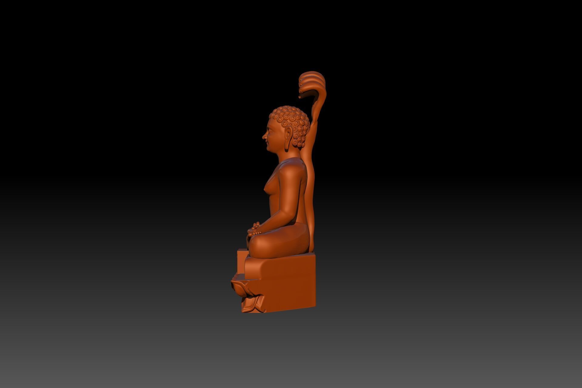 Digambara Tirthankara Idol for Resin or FDM Printing 3D print model_4