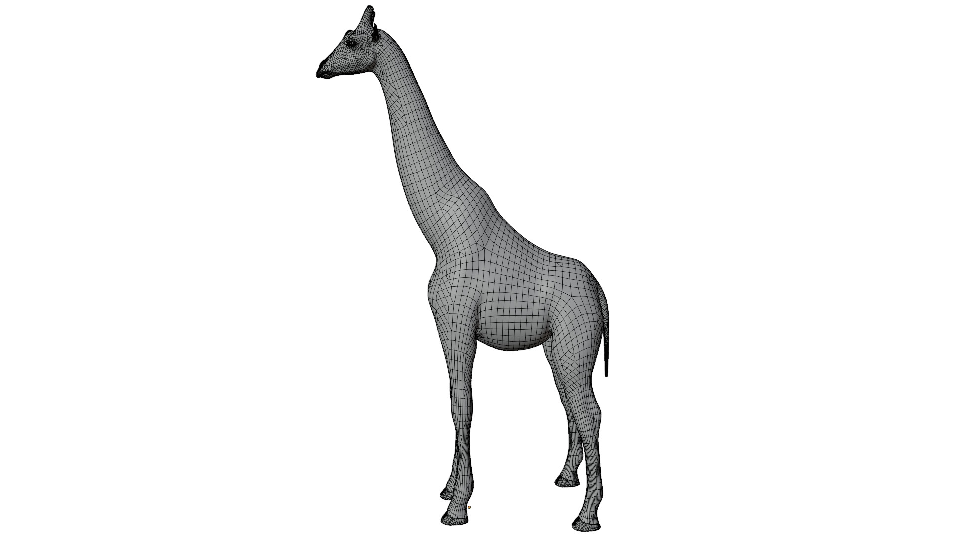 Giraffe 3D model_10